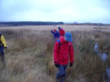 In the Wilds